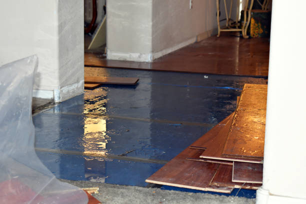 Professional Burst Pipe Cleanup technician working in Falmouth, KY